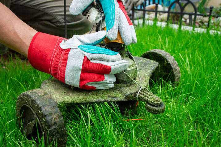 Lawn-Cutter-Service-Near-Me-in-UK