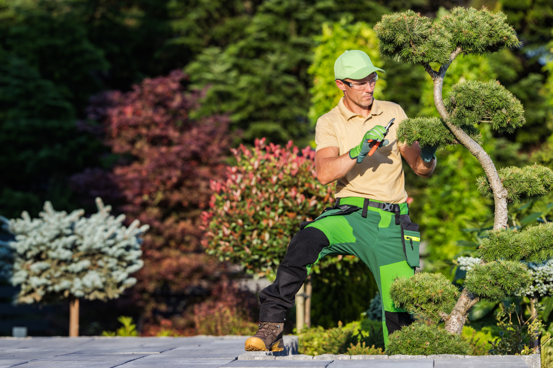 Landscapers in uk