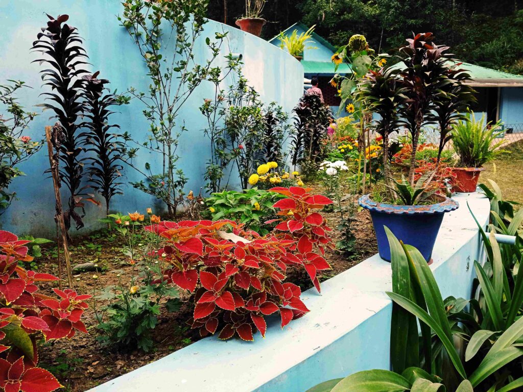 Low Maintenance Garden Design Ideas for the UK Weather