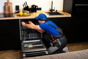 dishwasher Maintainance